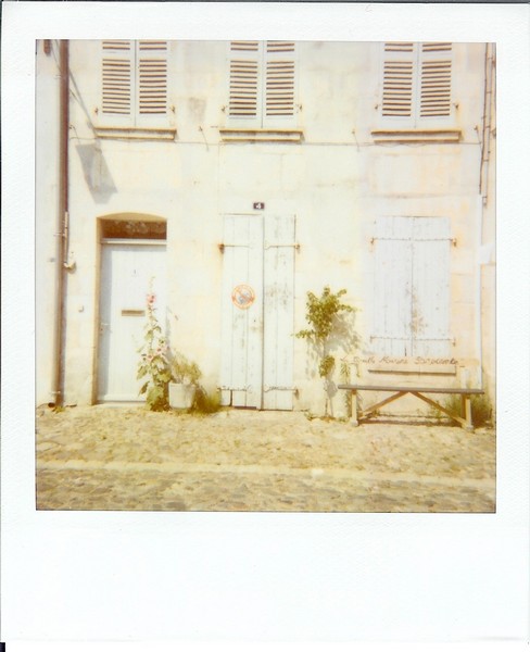 La Creille Marine - Ile de Ré